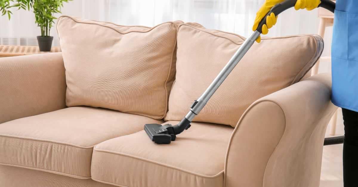 Cleaning-a-Leather-Couch Leather Couch Needs to be Cleaned Regularly