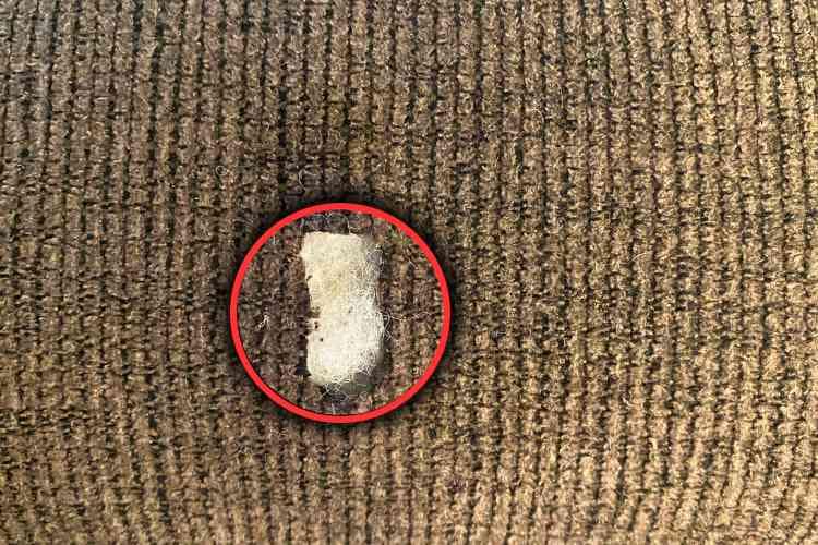 How to Fix a Burn Hole in a Couch How to Fix a Burn Hole in a Couch Cushion